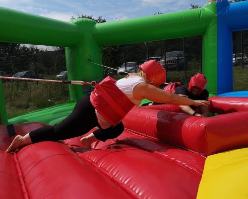 hungry hippos action